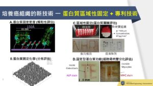 國衛院研發新穎體外三維癌細胞培養技術 「癌組織工廠」有助實現個人化癌症治療
